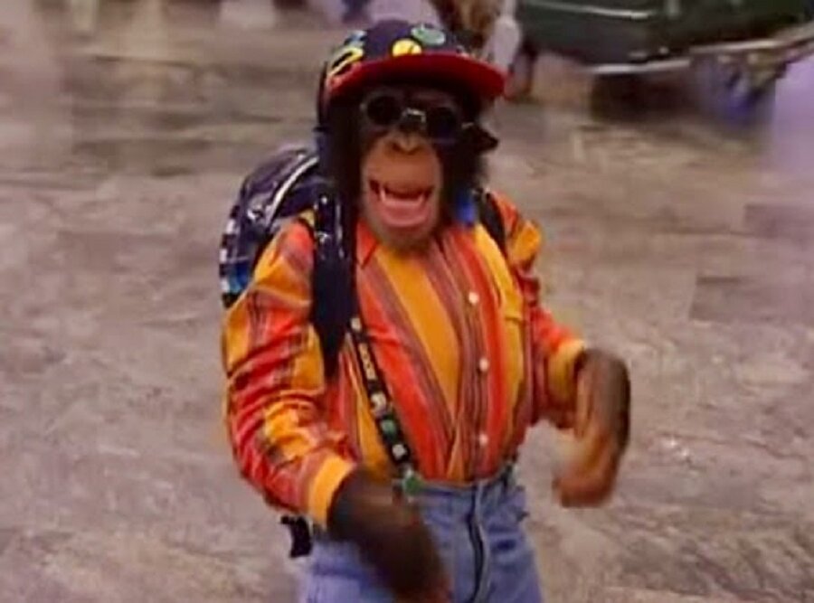 Bir zamanlar ondan meşhuru yoktu: Oyuncu maymun Çarli şimdi ne yapıyor?