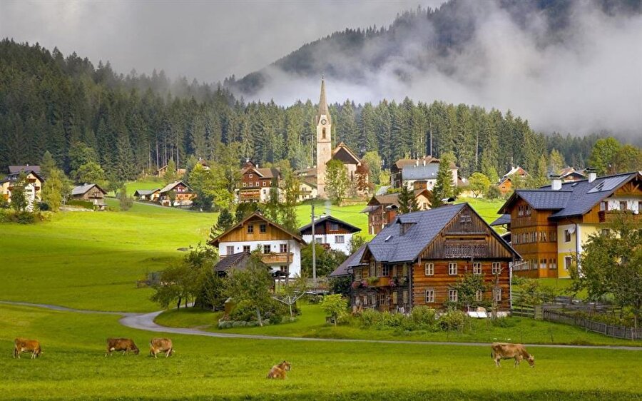 Avusturya
