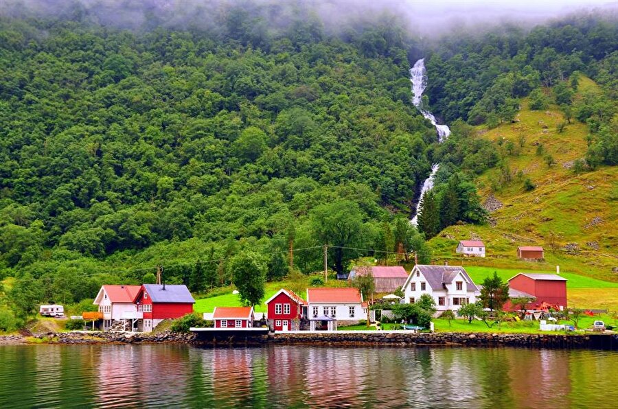 Norveç
