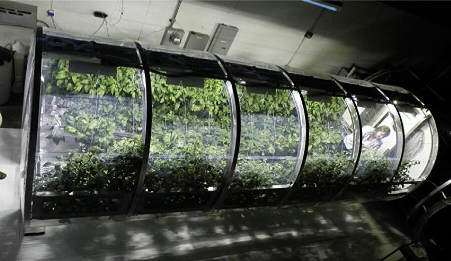 NASA Mars’ta astronotlarını beslemenin yolunu buldu: Şişme seralar