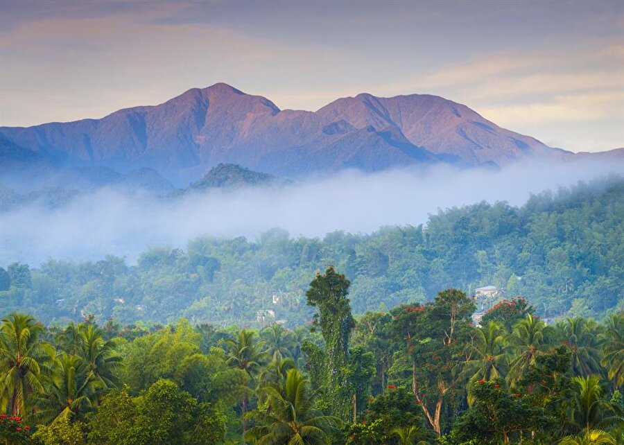 Blue and John Crow Mountains (Jamaika)