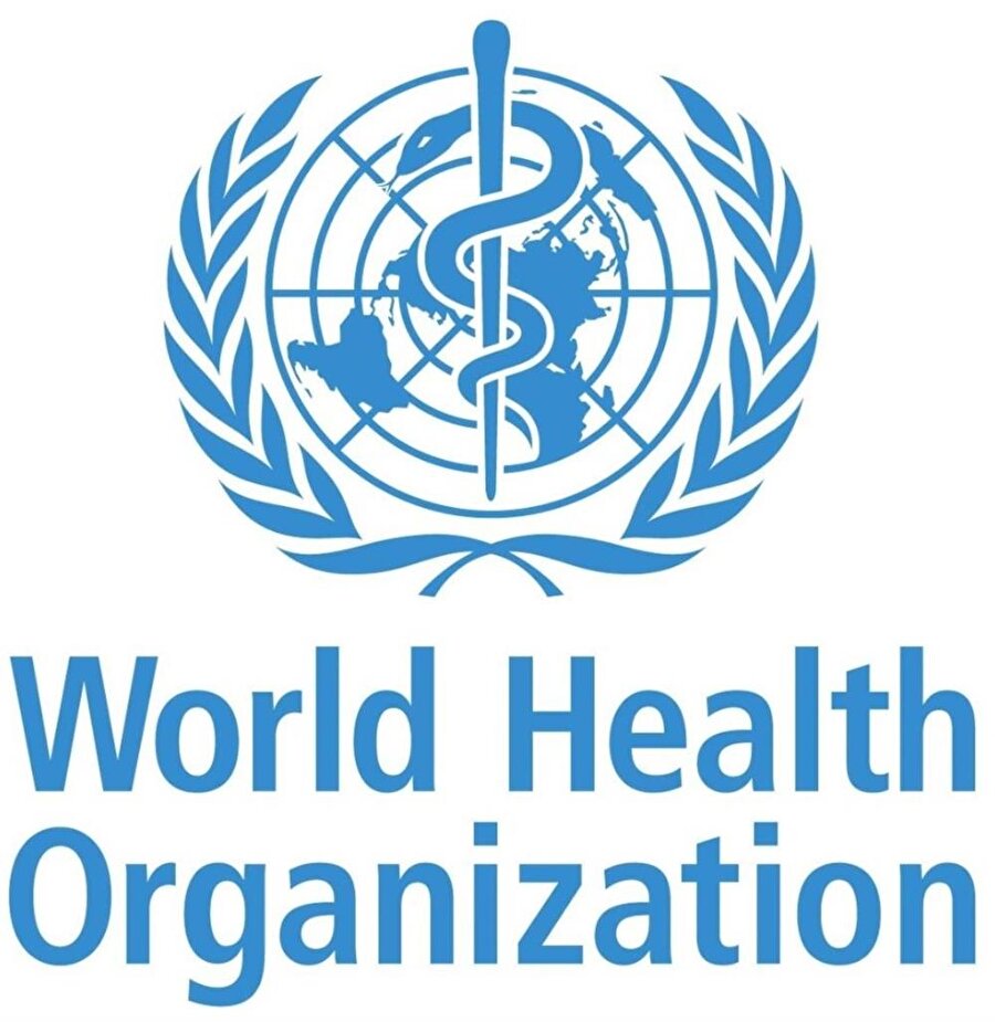 Dünya Sağlık Örgütü, elektronik sigaraların tütünü bırakma yöntemlerinden biri olduğunu kabul etmedi. 