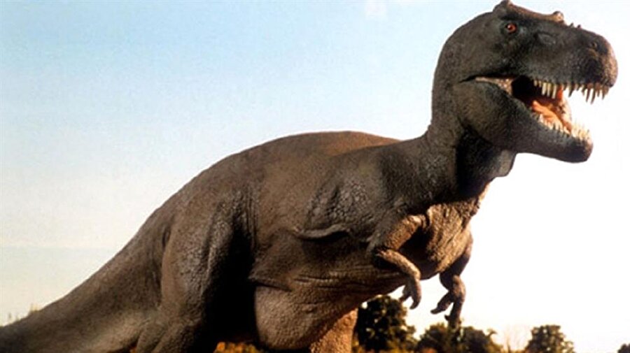 ​Yaşayan son dinozor Afrika'da bulundu: Bilim insanları hayret etti