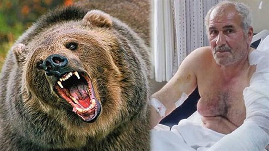 Ayıyla 40 dakika boğuşarak hayatını kurtardı