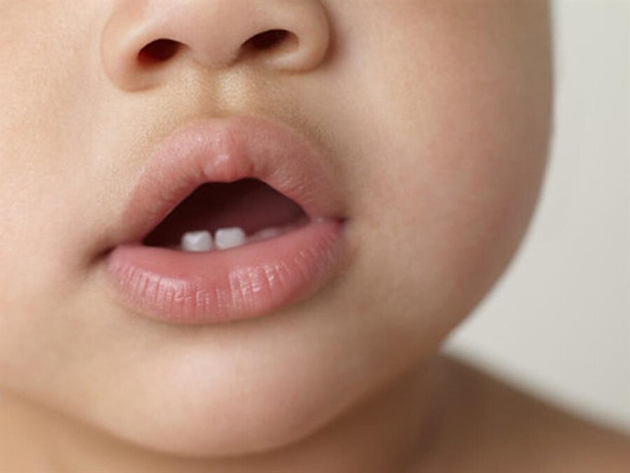 Bisküvi

                                    
                                    
                                    Bebeğinizin rahatlıkla tüketebileceği sertlikteki bisküviler de diş kaşıntısını azaltır.
                                
                                
                                