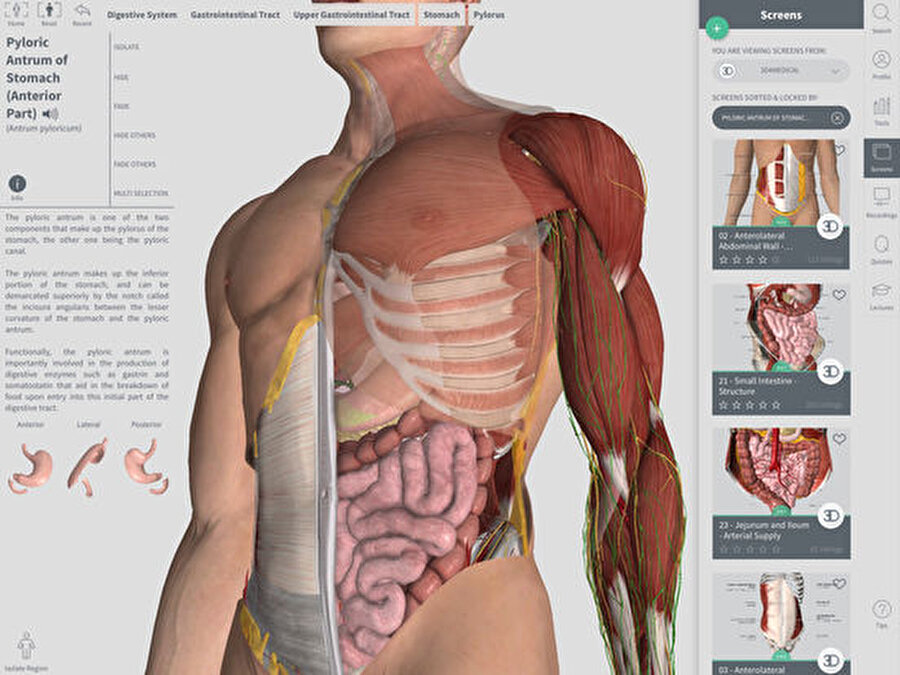 Complete Anatomy
Anatomi alanında çığır açacak bir uygulama. İnsan vücudunun ve sistemlerin etkileyici 3D görüntülerinin yanı sıra notlar, araçlar ve arama fonksiyonlarıyla mükemmel bir mobil kaynak. Uygulamada kolay gezinme sistemi sayesinde istediğiniz organın üzerine dokunabilir o organ hakkında daha fazla bilgi sahibi olabilirsiniz. Uygulamanın bedava olan versiyonunda sadece iskelet sistemi ve bağ dokularını keşfedebilirsiniz. Eğer 4.99 dolar ödeyip tam sürümü satın alırsanız insan vücudunda keşfedilmedik yer bırakmazsınız.