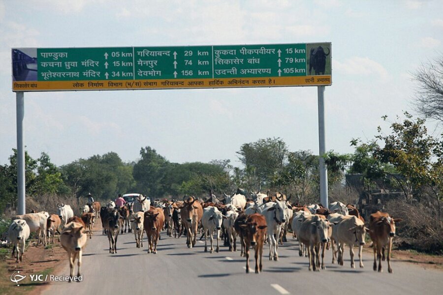 Chhattisgarh / Hindistan

                                    
                                    
                                    
                                    
                                    
                                    
                                
                                
                                
                                
                                
                                