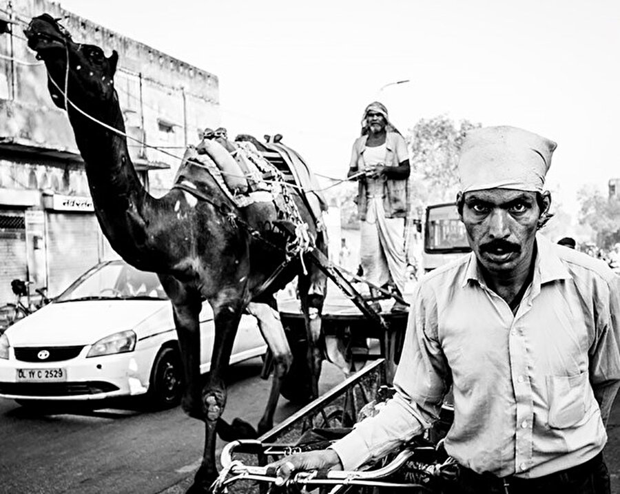 Dört Saniye Sonra (Jaipur, Hindistan), Diane Sta Ana

                                    
                                