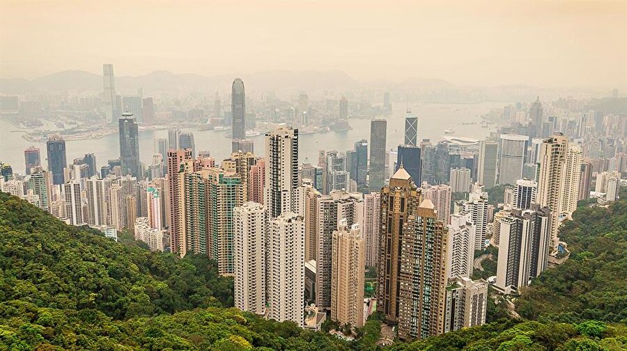 Metrekaresi 6.400 dolara denk düşen otopark merkezi ve potansiyeli olan bir yer olarak görülüyor. Yirmi yıldır Hong kong'ta böyle bir kamusal alanın satılması heyecan yaratmamıştı. 