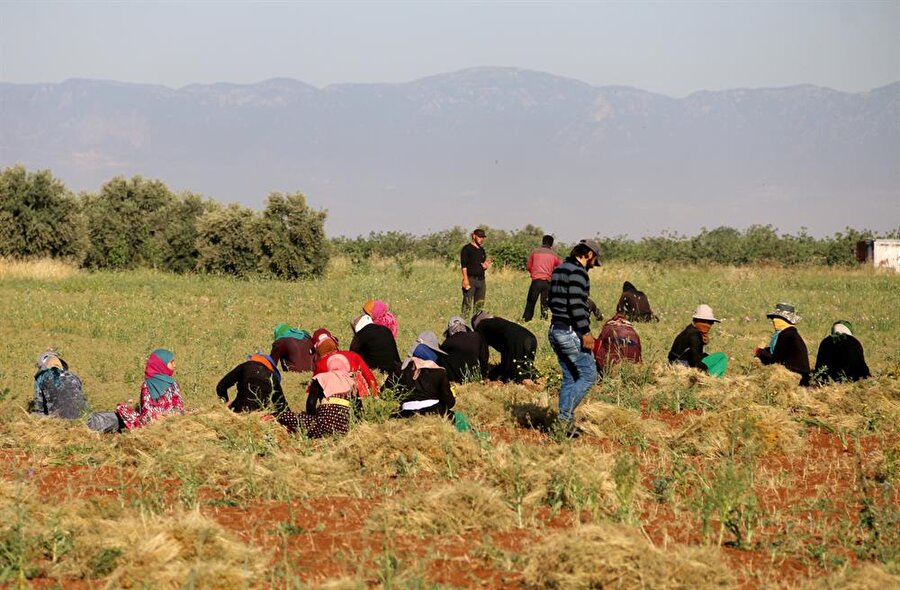 suriye patlamamış bomba