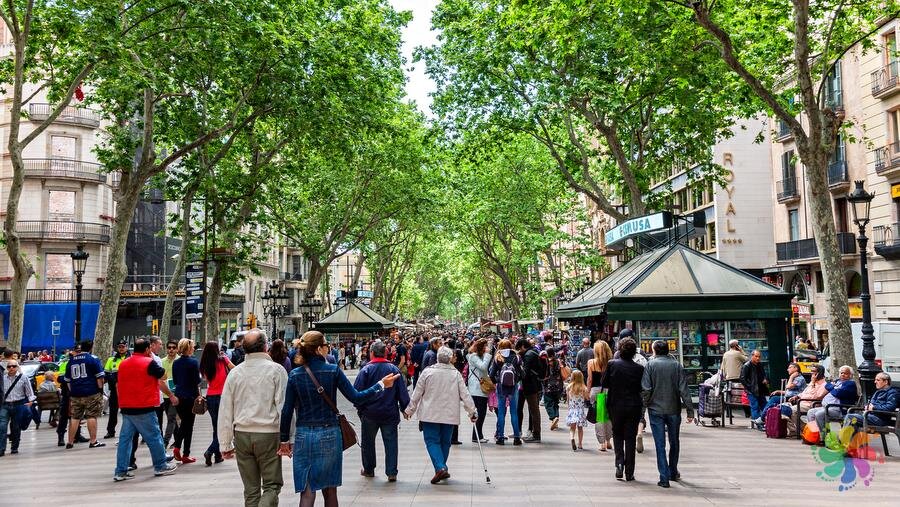 Kitap okumaktan sıkıldıysanız, size Barselona'nın en kalabalık ve meşhur caddesi La Rambla'da gezinti yapmanızı öneririz. Bu cadde bizim İstiklal Caddesine benziyor ve o derece kalabalık diyebiliriz. La Rambla günün her saati keyifli vakit geçirebileceğiniz bir cadde.