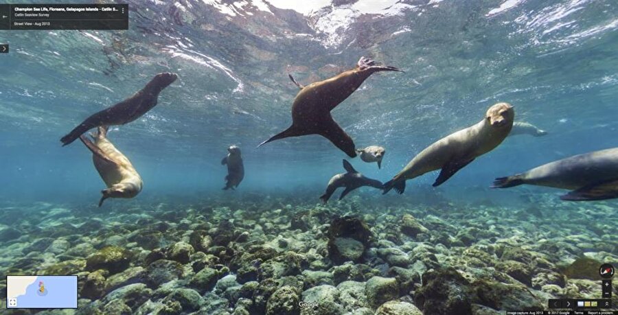 Galápagos Islands, Ekvator
