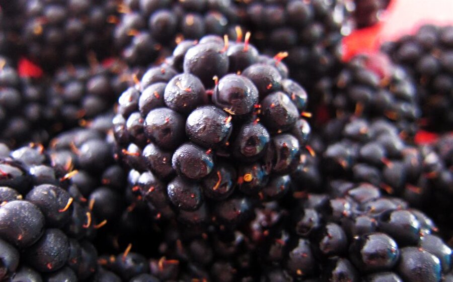 Gerekli malzemeler
2 su bardağı karadut1 adet muz1 adet limonDemlenmiş yeşil çay