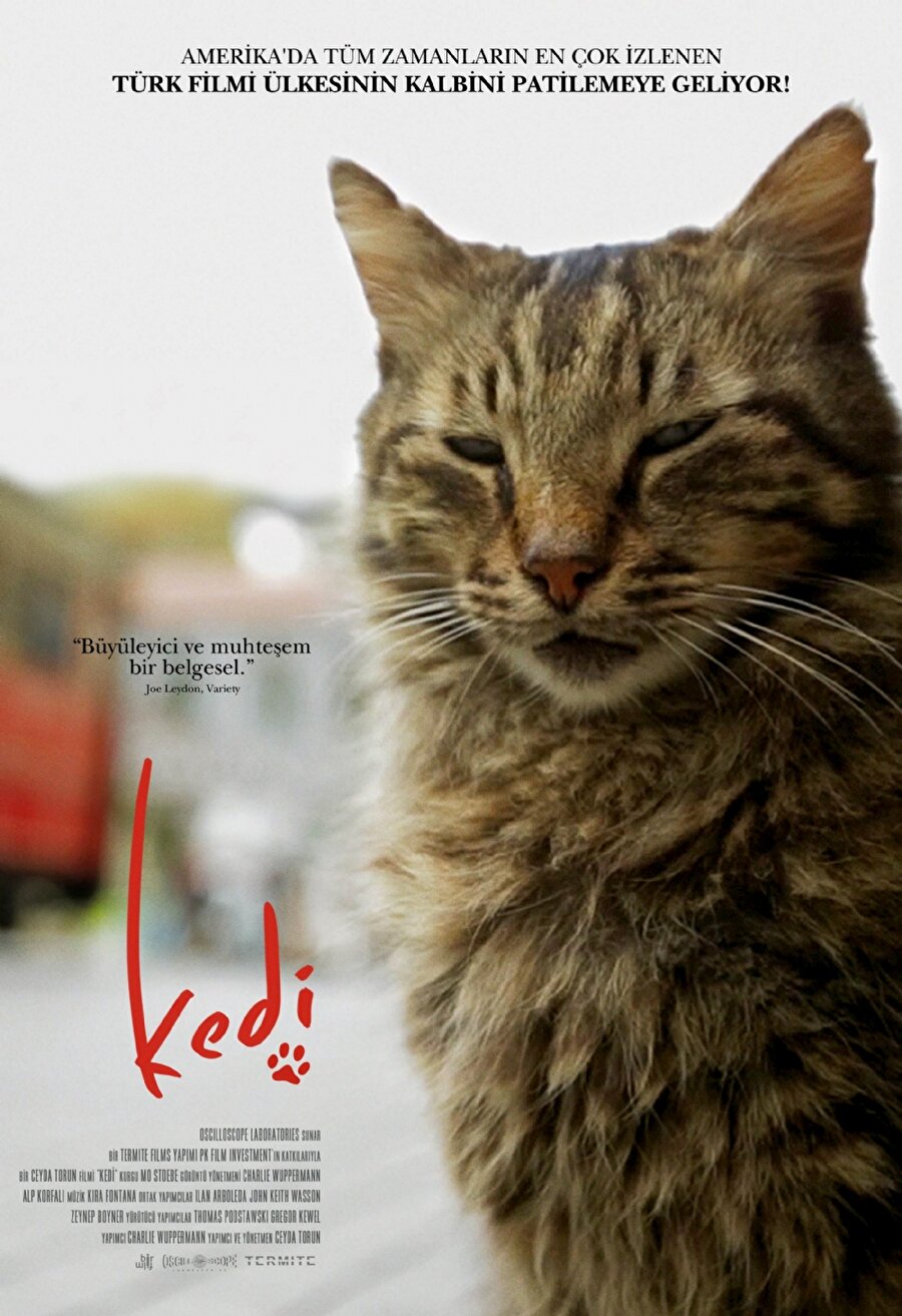 Kedi
Konusu: Ceyda Torun'un yönetmenliğini üstlendiği belgesel film "Kedi", İstanbul sokaklarında hayatlarını idame ettiren kedileri odağına alıyor.
Türkiye ve ABD ortak yapımı filmin senaryosu Alp Korfalı ve Charlie Wuppermann ikilisine, müzikleri ise Kira Fontana'ya ait.