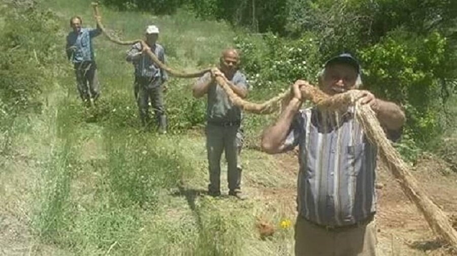İçme suyu borusundan çıkanlar köylüleri şoke etti