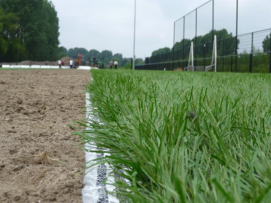 Sporcuların sağlığı için de hibrit çim son derece önemli. Doğal çim ve suni çime oranla hibrit çimde sakatlanma oranı daha düşük.