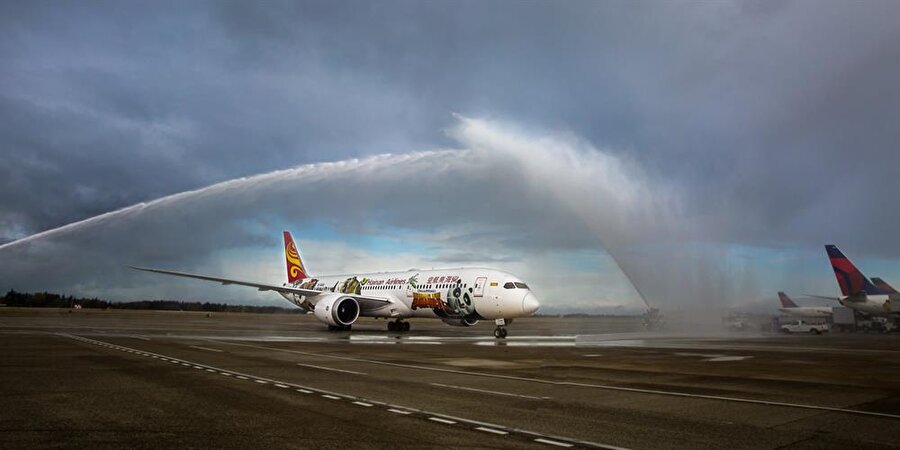 Hainan Airlines
