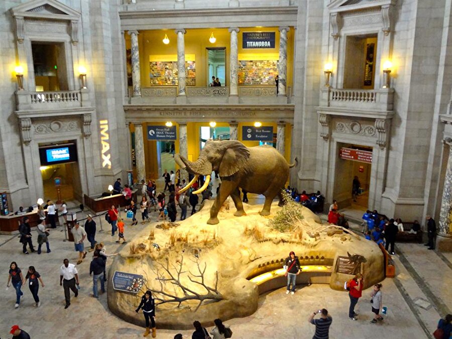 The National Museum of Natural History, Washington

                                    7,1 milyon ziyaretçi
                                