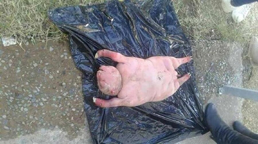 Köylüler o yaratığı görünce gözlerine inanamadı!