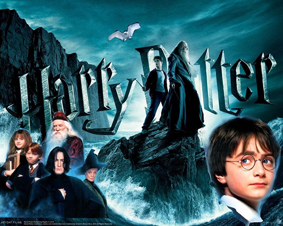 Bugün Harry Potter serisi ilk kitabının yayınlanışının 20. yılı