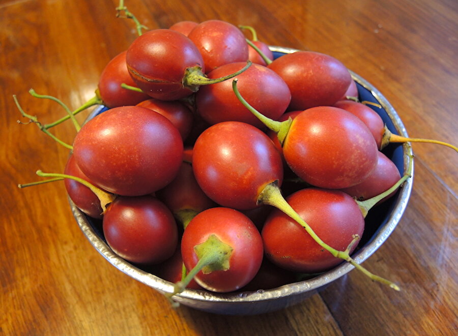 Tamarillo
Tamarillo; domates ve patlıcanla akraba olan bir meyvedir. 