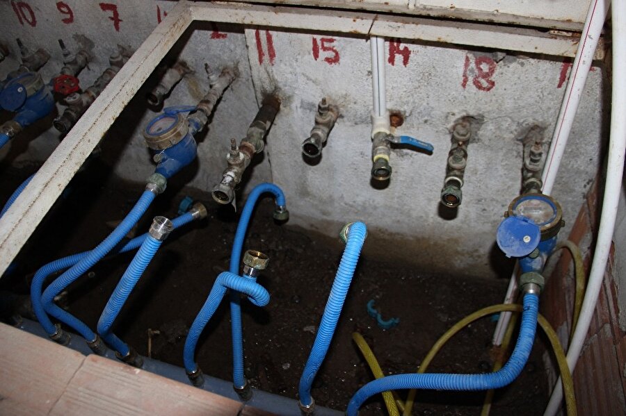 Gerçeği öğrenince şoke oldular