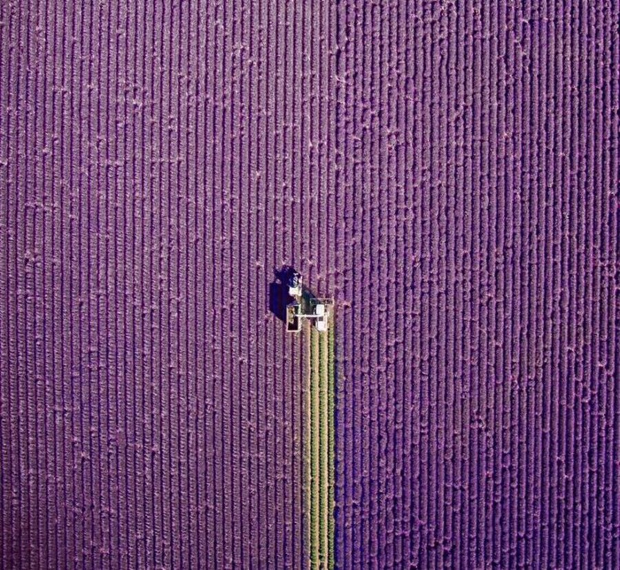 
                                    
                                    Valensole, Fransa
Fotoğraf: Jerome Courtial
                                
                                