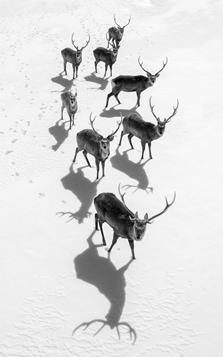 Japonya Fotoğraf: Hidetoshi Kikuchi