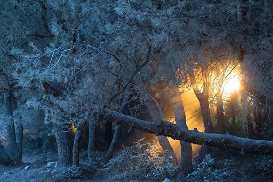 Hırvatistan Fotoğraf: Aurel Manea