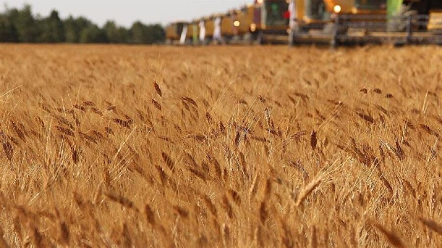 ​'Küresel gıda fiyatları düşük seyredecek'