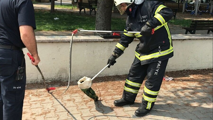 ​Çocuk parkında korku dolu anlar