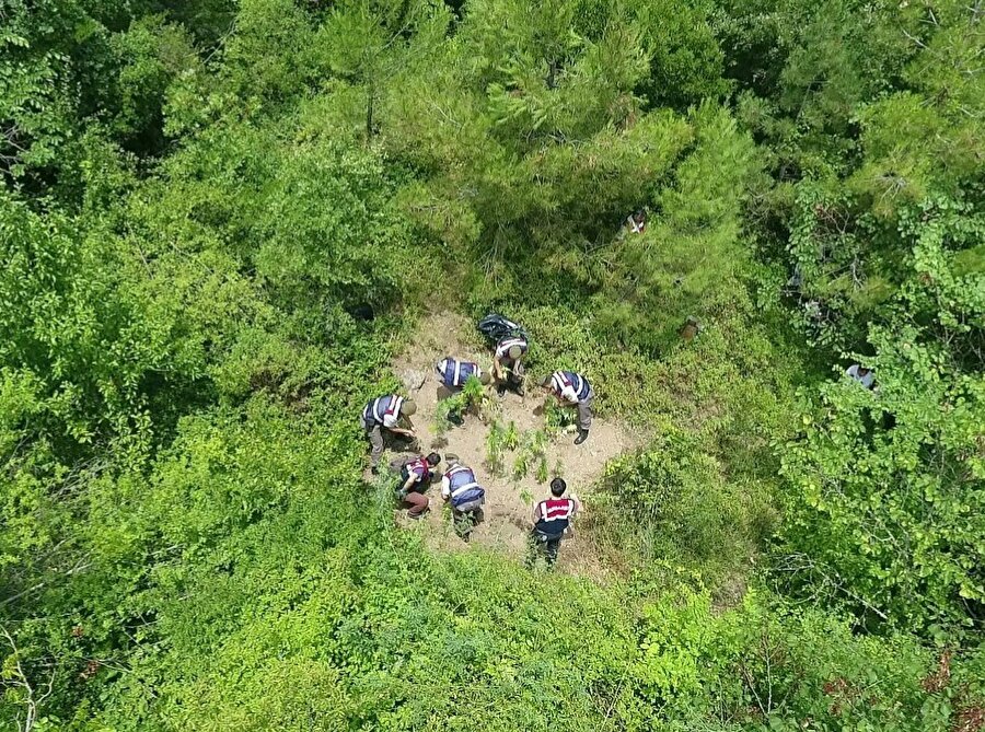 ​Jandarmadan drone’lu uyuşturucu baskını