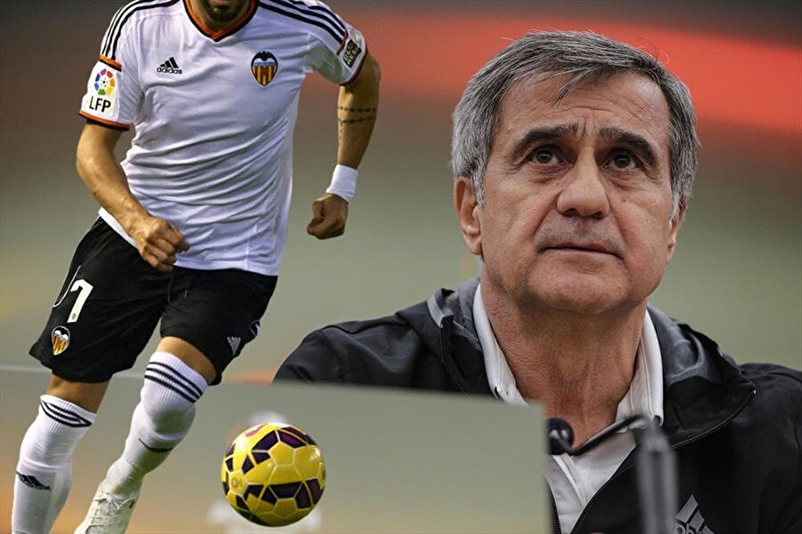 Şenol Güneş Negredo