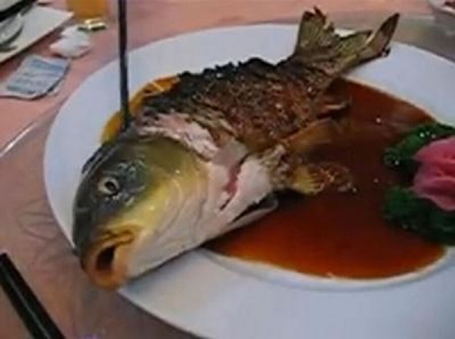Ying Yang Balık

                                    
                                    Balık hâlâ hayatta kalırken acımasızca pişirilir, böylece tablonuza geldiğinde hala çırpınır ve nefes alır. Birçok yerde yasaklansa da, Çin'deki bazı restoranlarda satışı devam etmektedir.
                                
                                