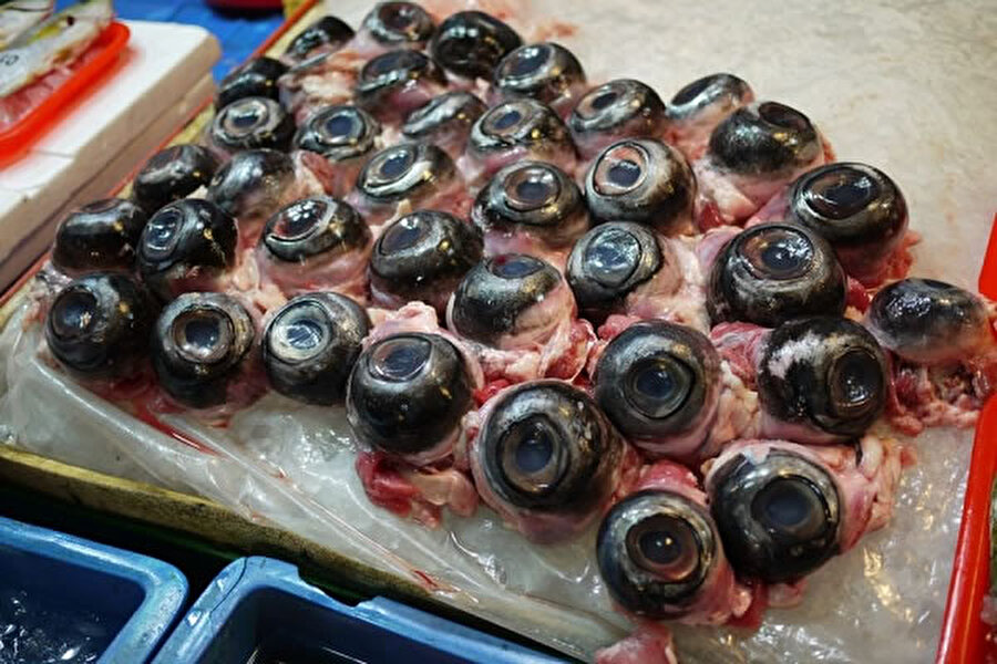 Ton Balığı Gözbebekleri

                                    
                                    Ton balıklarını gözleri çıkarılarak haşlanır ve size bakar şekilde servis edilir. Tadı kalamarı andıran bu yemek, Çin ve Japonya'daki restoranlarda satılmaktadır.
                                
                                