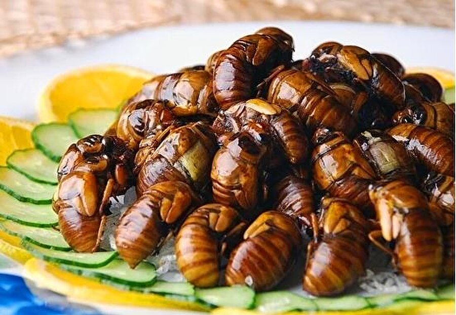 Ağustos Böceği Kızartması

                                    
                                    Çin'de şişlere geçirilerek yapılan bir yemek. İsteğe göre haşlaması da yapılabilirmiş.
                                
                                