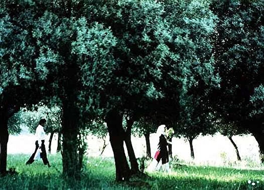 Zeytin Ağaçlarının Altında (Through The Olive Trees)  1994 -Abbas Kiyarüstemi

                                    
                                    -Eğer toprak sahibi toprak sahibiyle, zengin zenginle, cahil cahille evlenirse, hiçbir işe yaramayacağını düşünüyorum. Eğer okuyanlar cahillerle, zenginler fakirlerle, evsizler toprak sahipleriyle evlenirse çok daha iyi olur. Böylece herkes birbirine yardım etmiş olur. Bence en iyisi bu. Eğer iki insan evlenir ve iki evleri olursa kafalarını birine, ayaklarını diğerine sokamazlar! Doğru muyum, yanlış mı? Bunu yapamazlar!
                                
                                
