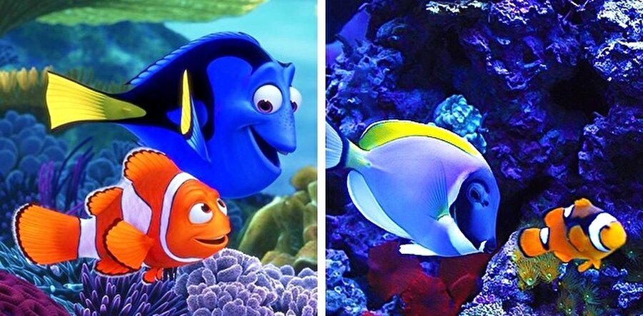 Marlin ve Dory Finding (Nemo)

                                    
                                    
                                    
                                
                                
                                