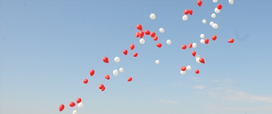 Uçuşan Balonlar

                                    
                                    “Yü-rü-ye-mi-yo-rum. 20 santim topukla basamıyorum.” Genleşme veya basım sonucu patlama potansiyeli bulunan kır düğünü prodüksiyonlarının vazgeçilmezi, anlık paniklere neden olabilen havasal eğlence gereçleri.
                                
                                