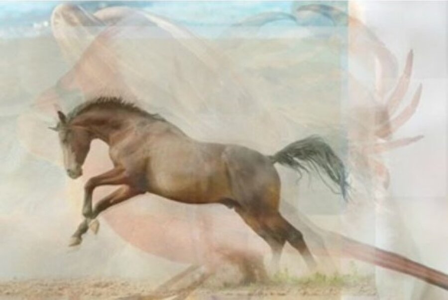 At

                                    
                                    Resimde ilk olarak atı farkediyorsanız, bağımsız yaşamayı seven ve özgür ruha sahip bir insansınız.
                                
                                