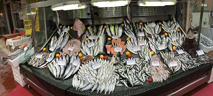 "Bolluk anlamına geliyor"
Köpek balıklarının uzun yıllardır bu kadar çok olmadığı belirtildi. Köpek balıklarının Marmara Denizi'nde çoğalan balık sürülerinin de müjdecisi olduğu ifade edildi. Balıkçılar, köpek balıklarının balık sürülerini takip ederek Marmara'ya girdiğini söyledi. Sergilenen köpek balığının satılamazsa hayvan yemi olarak kullanılacağı öğrenildi.

  
Doğal düşmanları olmayan ve besin zincirinin zirvesinde oturan köpek balıkları, doğal dengenin de sağlıklı işlediği anlamına geliyor.