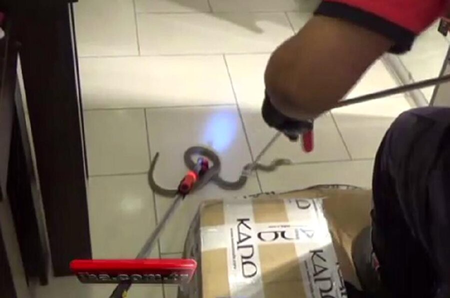 Bolu’da bir giyim mağazasına gelen elbise kolisinin içinden çıkan yılan iş yerinde büyük paniğe neden oldu.