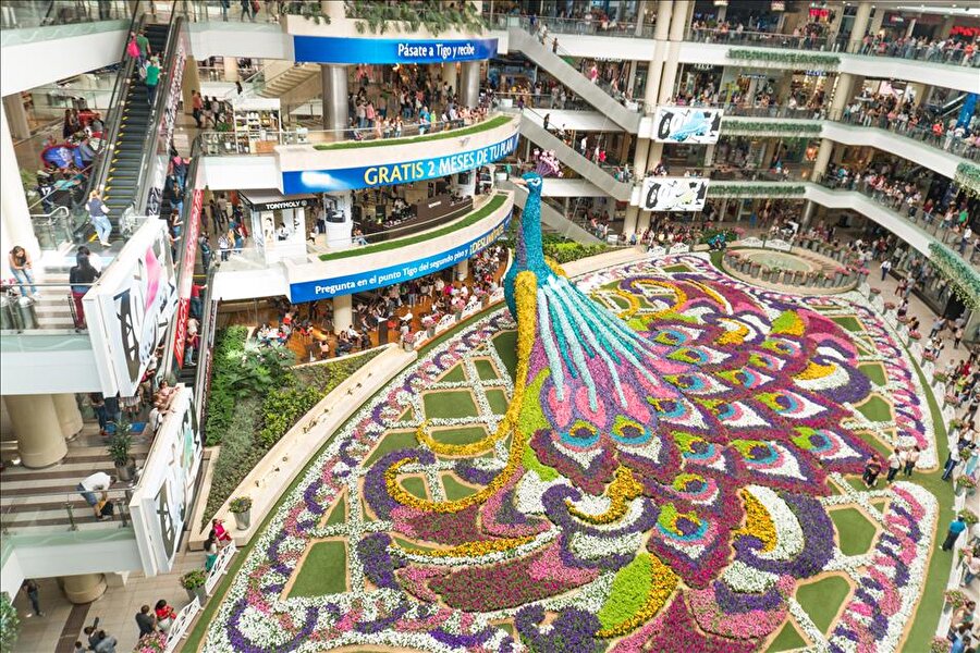 Kolombiya'da Çiçek Festivali

                                    Kolombiya'nın Medellin kentinde bulunan Santa Fe Alışveriş Merkezi'nde, Medellin Çiçek Festivali kapsamında 182 bin çiçek kullanılarak, üç boyutlu hazırlanan tavus kuşu figürü sergilendi.
                                