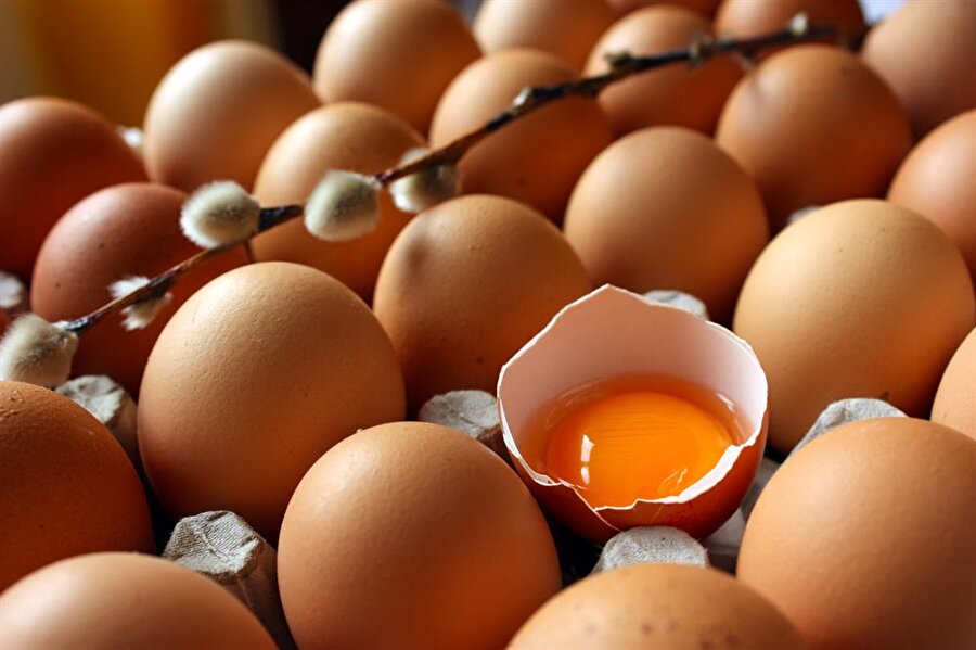 Almanya en büyük yumurta tedarikçisi olan ve böcek ilaçlı yumurtaların çıkış merkezi olarak görülen Hollanda’dan yaklaşık 5 milyar adet yumurta ithal etti.
