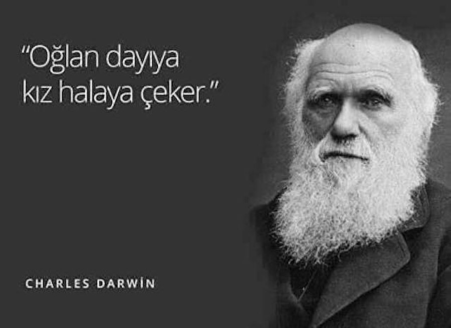 Darwin 
Modern bilimin kurucu Darwin soyumuzun maymundan geldiğini söylemeden önce belki de bunu demek istedi. 