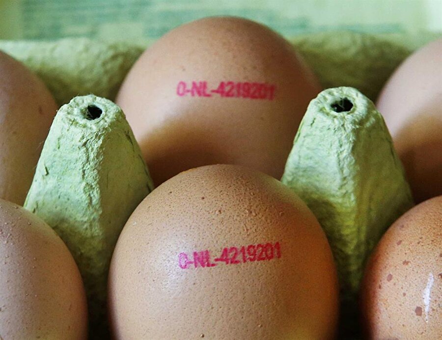 İlaçlı yumurta çok fazla tüketilirse böbrek, karaciğer ve tiroid bezlerine ciddi zarar veriyor.

                                    
                                    
                                
                                
