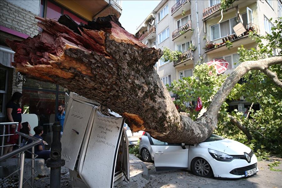 Anıt çınarın kırılan dalı otomobilin üzerine düştü
Bursa'da tescilli 183 yaşındaki anıt çınarın kırılan dalının otomobil üzerine düşmesi sonucu o sırada araç içinde bulunan sürücü yaralandı.