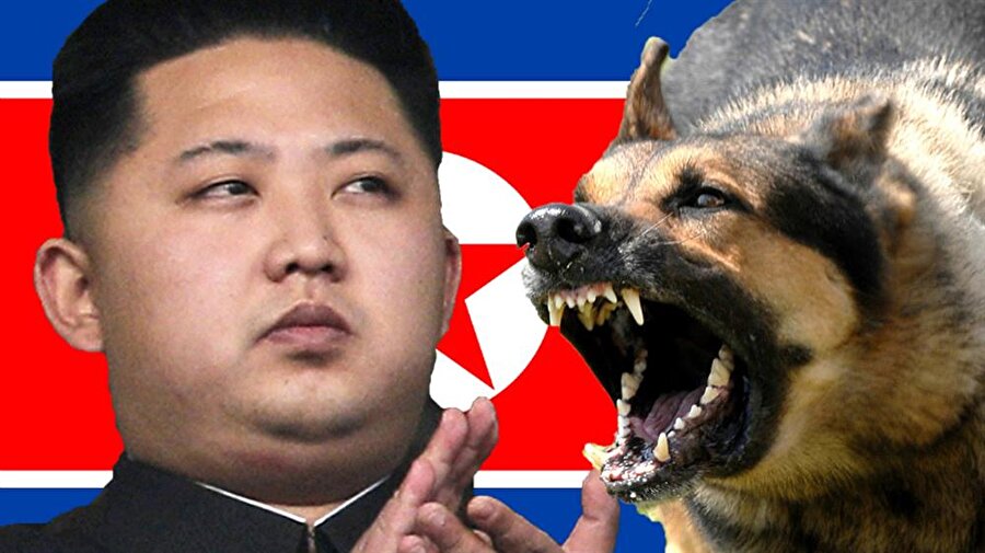 Eniştesini ve 5 kişiyi köpeklere yedirerek idam ettirdi

                                    2014 yılında Kim Jong-Un, eniştesi ve yakınında bulunan 5 adamını vatana ihanet suçlamasıyla 120 köpeğin bulunduğu bir kafese atarak idam ettirdi. 

  
Kaynak: Vikipedi, BBC Türkçe
                                