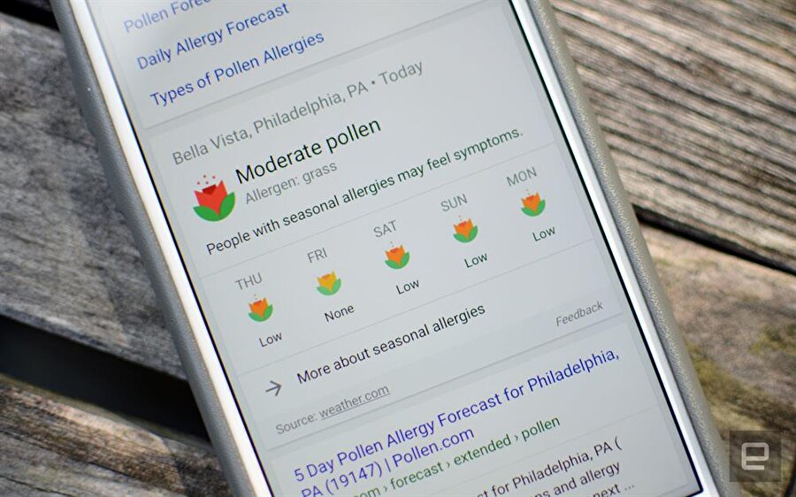 Google alerji ve polen uyarısı.