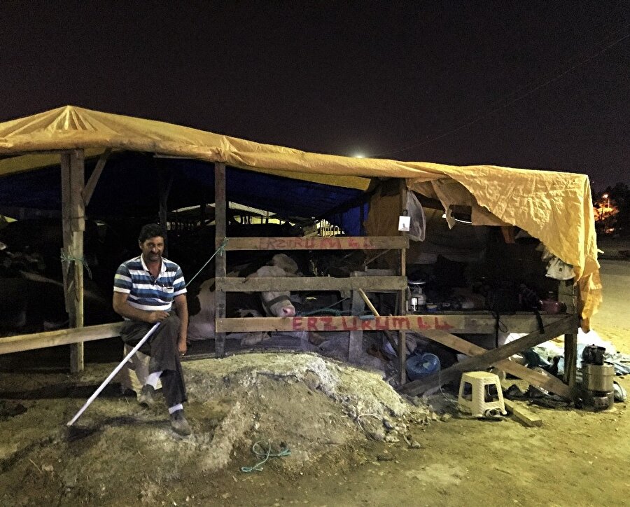 ​Uyurken bile kurbanlıklardan ayrılmıyorlar